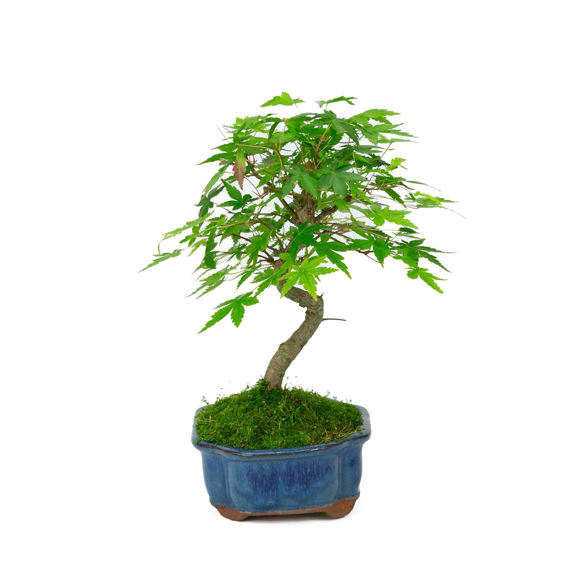 Productafbeelding 4