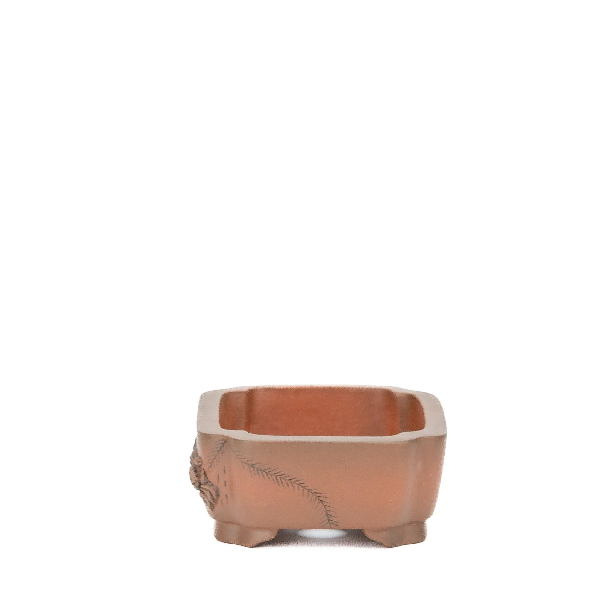 Miniatuur 2