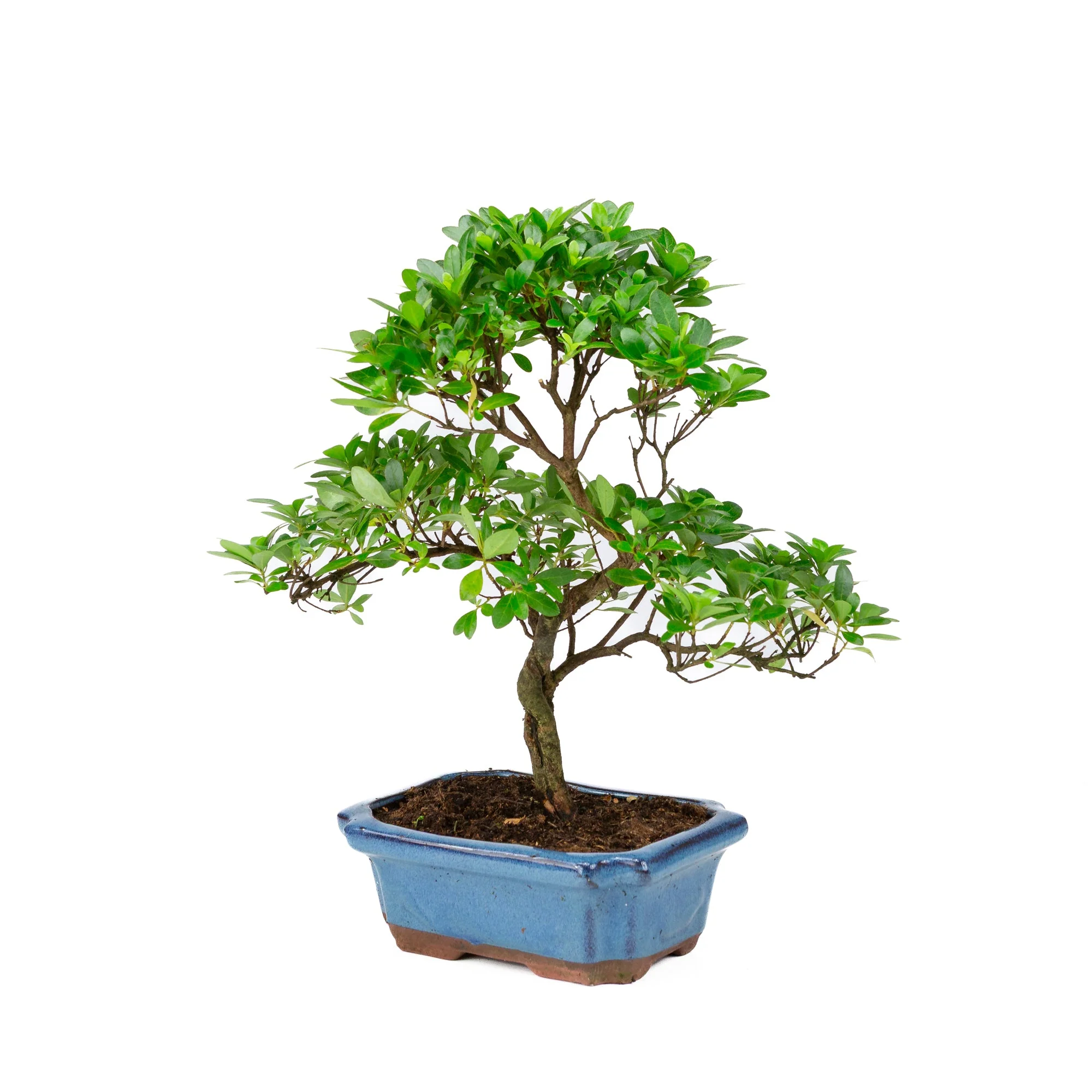 Productafbeelding 3