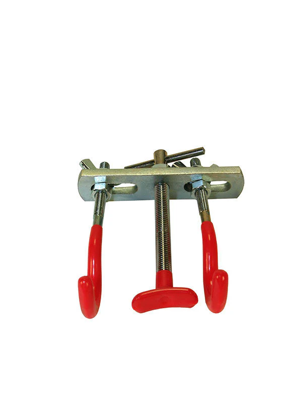 Miniatuur 2