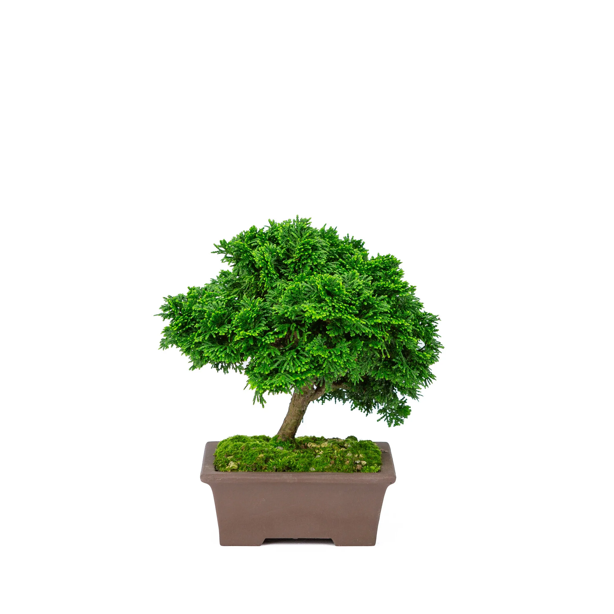 Productafbeelding 1