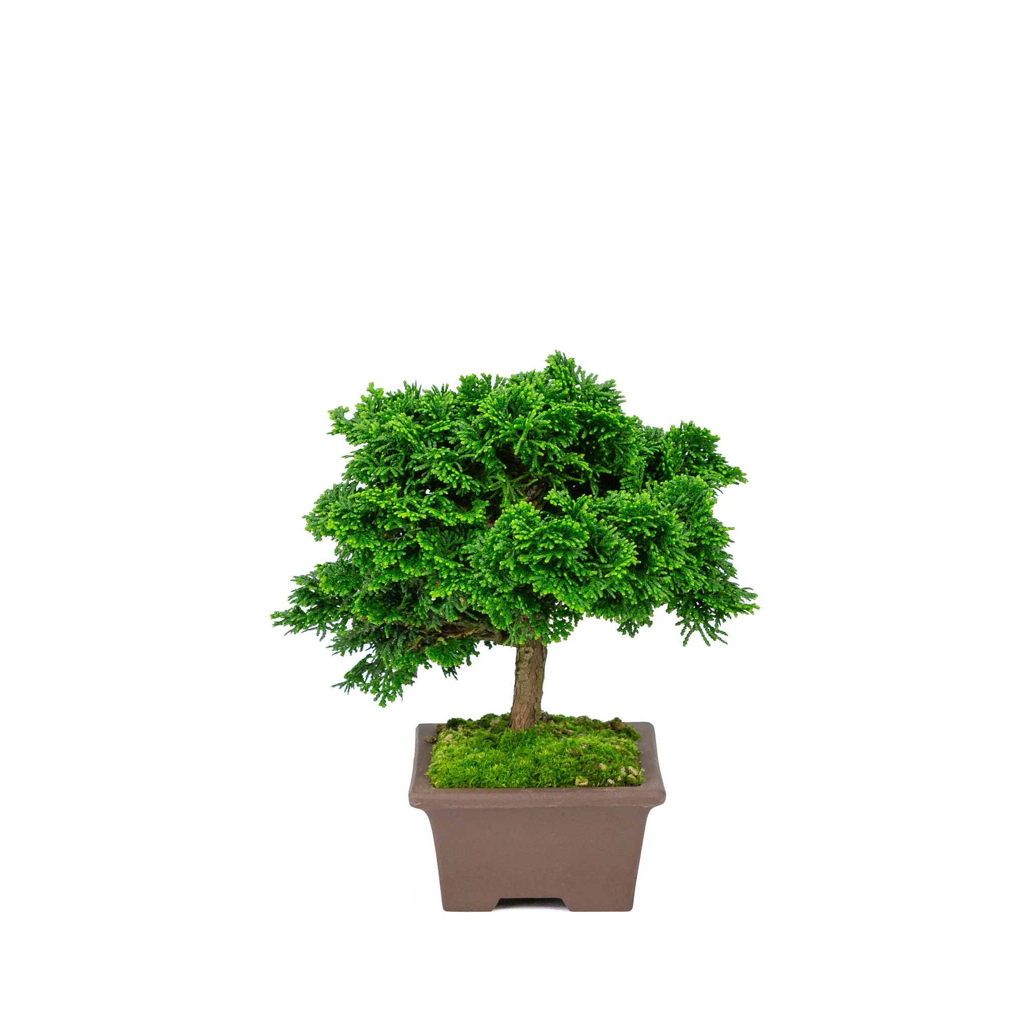 Productafbeelding 4