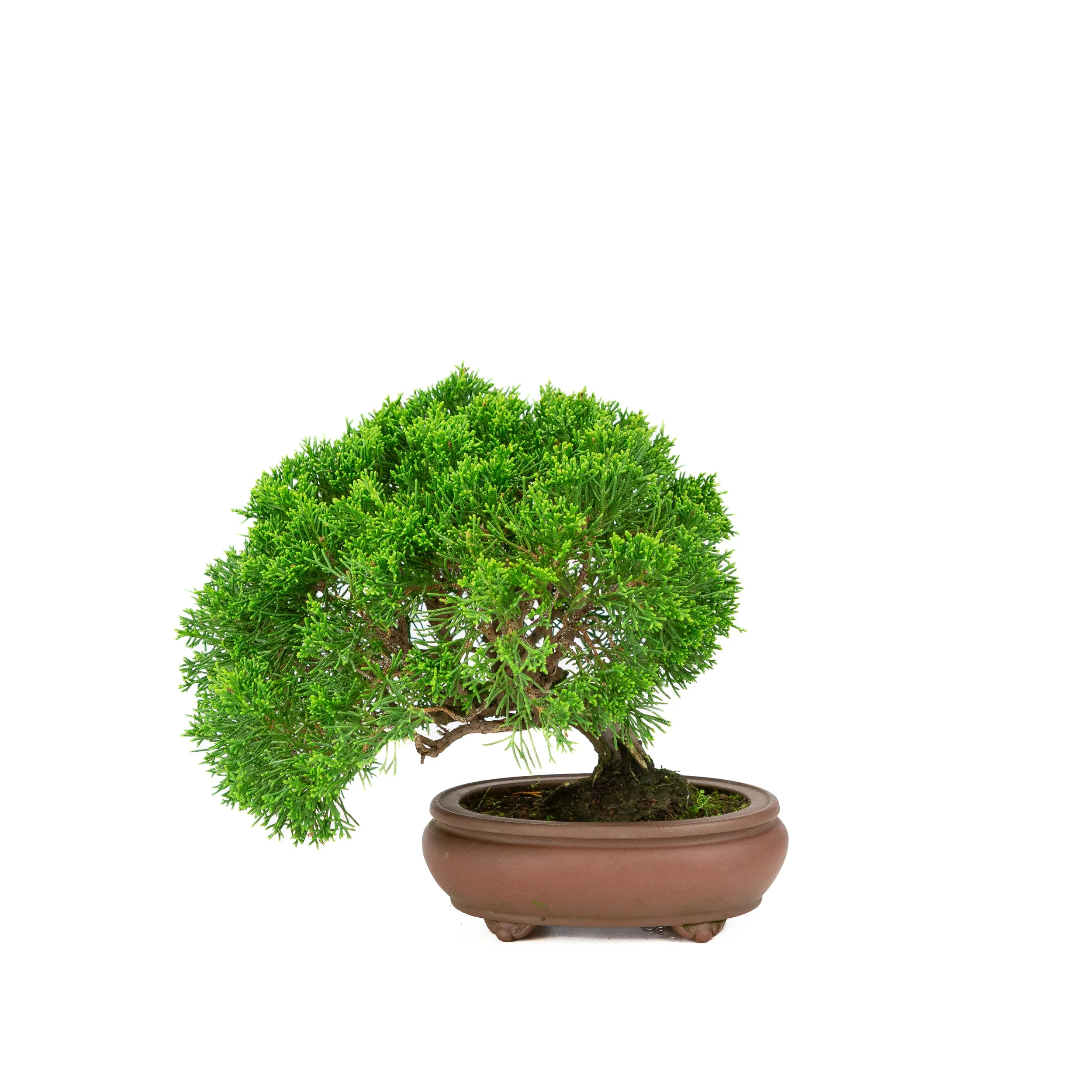 Productafbeelding 3
