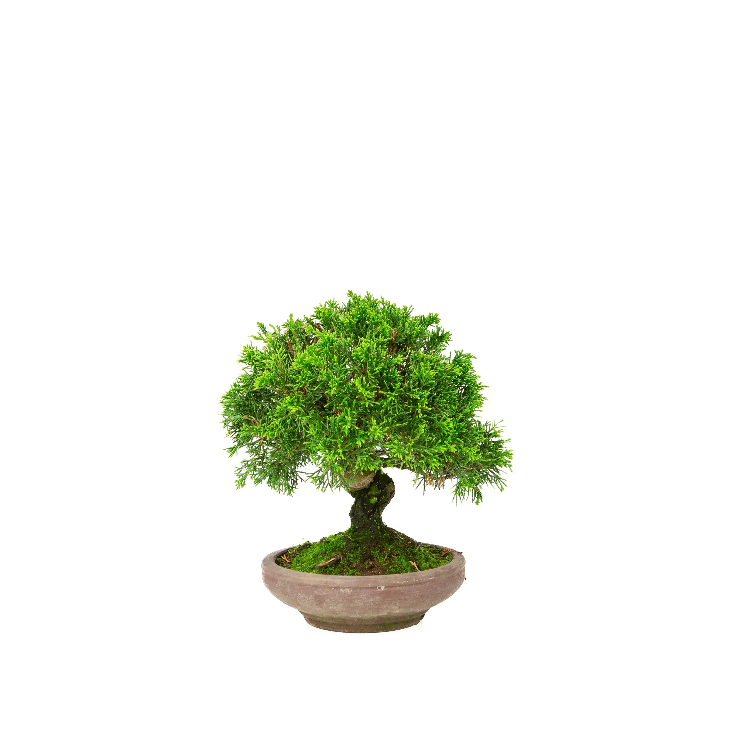 Productafbeelding 3