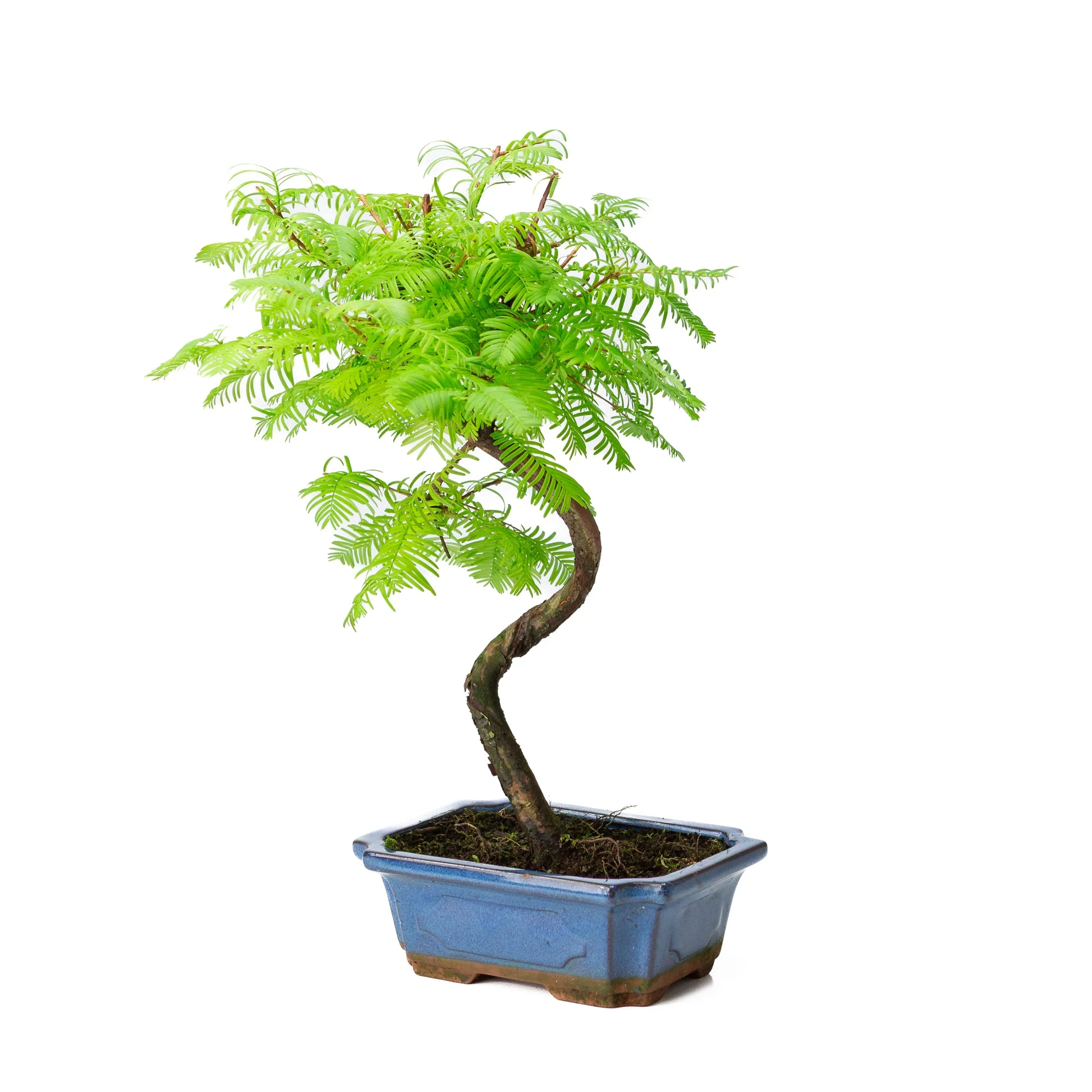 Productafbeelding 3